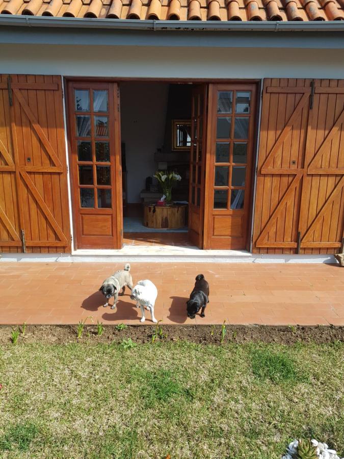 Beachwalk Guesthouse Esmoriz Bagian luar foto